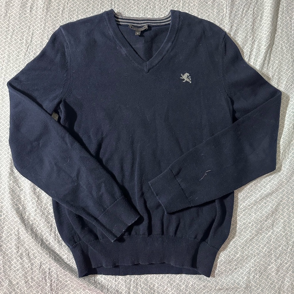 EXPRESS Men's Navy V-Neck Sweater